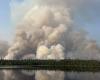 Incendios forestales: los empresarios forestales exigen un mejor apoyo | Incendios forestales en Canadá