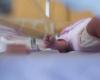 Dos bebés mueren de tos ferina en Montpellier, el Hospital Universitario da la alerta
