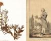 Un herbario de Rousseau en el Conservatorio Botánico de Ginebra | ciudad de ginebra