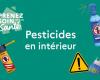 Pesticidas de interior: ¿qué precauciones debes tomar en tu hogar?