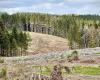 Prohibición de la tala rasa, abandono del proyecto de la fábrica Biosyl… ¿Qué exige la Asamblea por los Bosques Vivos, reunida esta semana en la meseta de Millevaches?