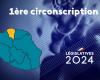 Elecciones legislativas de 2024: lo que necesita saber sobre la primera circunscripción de Reunión