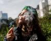 Brasil despenaliza la posesión individual de cannabis