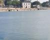 Los tres delfines abandonaron el Puerto Viejo de La Rochelle