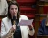 Elecciones legislativas de 2024 en Loira Atlántico: Julie Laernoes cerca de la reelección en la primera vuelta en Nantes-Rezé