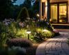 Por qué necesitas limitar la contaminación lumínica en tu jardín