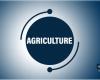 SENEGAL-ORGANIZACIÓN-AGRICULTURA / Koul crea una cooperativa agrícola municipal – agencia de prensa senegalesa