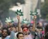 Posesión de cannabis despenalizada en Brasil: las nuevas reglas del juego