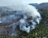 Incendios forestales | Mientras las islas griegas arden, Atenas advierte que el verano será “peligroso”