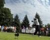 Golf: la Copa Victoriaville Canadá está de vuelta… y más generosa