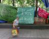 Campamentos propalestinos | François Bonnardel critica la pasividad de la ciudad de Montreal
