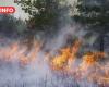 Dos incendios de vegetación reportados cerca de Montpellier