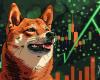 ¿Puede el precio de Dogecoin (DOGE) provocar otro aumento en julio?