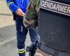 Está desatado contra cuatro gendarmes en Chasseneuil-du-Poitou y en el CHU.