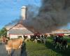 Mueren vacas en un incendio en Saint-Cyrille (fotos y vídeo)