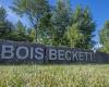 En Bois Beckett están previstos 5 km de senderos adicionales
