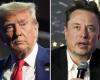 Si
      es
      elegido,
      Donald
      Trump
      nombrará
      a
      Elon
      Musk
      para
      dirigir
      una
      comisión
      especial
      –
      Mi
      Blog