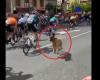 En
      un
      vídeo,
      un
      perro
      se
      autoinvita
      al
      pelotón,
      los
      ciclistas
      evitan
      lo
      peor