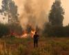 Portugal recibe ayuda de España y Marruecos para combatir incendios forestales