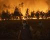 Alrededor de cuarenta incendios forestales siguen asolando el país