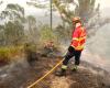 Portugal sigue luchando contra violentos incendios forestales