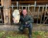 Vacas vestidas de gala para el descenso de Lignières desde los Alpes