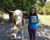 Del cebú de Aubrac al de Mahorais, su libro hace un recorrido por las vacas de Francia