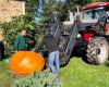 Campeón de Francia por sus verduras gigantes, un manchois repite su título en Vendée