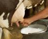 La sequía y las importaciones amenazan a los productores de leche