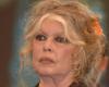 Brigitte Bardot celebra su 90 cumpleaños, un cumpleaños que “teme”