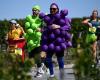 My Médoc Marathon, la carrera que sólo los franceses pudieron inventar