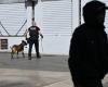 La DZ Mafia, los narcotraficantes que se han convertido en los nuevos amos de los barrios de Marsella