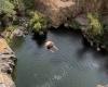 VIDEO. El increíble “buceo mortal” de un francés, nuevo plusmarquista mundial de falso piso