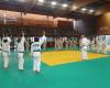 Judo: ¡Essonne es un éxito!