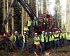 El plan maderero-forestal de la Región puesto en práctica con empresas de trabajos forestales