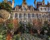 La plaza frente al Ayuntamiento de París se transforma en un bosque urbano