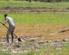 Necesidad de una acción colectiva para erradicar las desigualdades (Sadiki) – AgriMaroc.ma