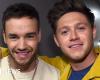 Niall Horan dice que la muerte de Liam Payne “no parece real”