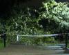 Lluvias torrenciales en París: un padre muere tras la caída de un árbol, sus dos hijas resultan heridas