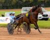 Caballos, conductores de crack y paseos en pony este lunes en el hipódromo de Cherburgo