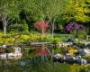 Visita al jardín acuático de Acorus, notable etiqueta de jardín: Paseo en Autoreille