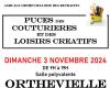 Puce des costureras y aficiones creativas Orthevielle domingo 3 de noviembre de 2024