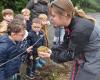 Gracias a la sustitución de Finistère, los niños visitan una granja