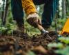 9 de cada 10 países olvidan este parámetro tan importante en sus planes para salvar la biodiversidad