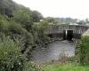 Tras la contaminación en Plouvien, el prefecto de Finistère da a Sill un mes para cumplir