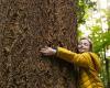 ¿Por qué necesitamos desarrollar nuestra empatía con la naturaleza?