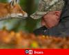 Cara a cara entre Maxime Bachely, fotógrafo de naturaleza de Maubray, y un zorro