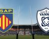 Vannes: ¿en qué canal y a qué hora ver en directo el partido del TOP 14?