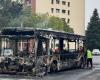 No hay autobuses en la zona hasta mediados de noviembre.