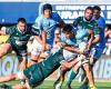 Top 14 – Las notas de Perpignan – Vannes: Oviedo con garra, Lafage impreciso